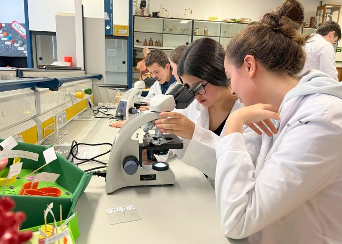 1BachCientificoLaboratorio